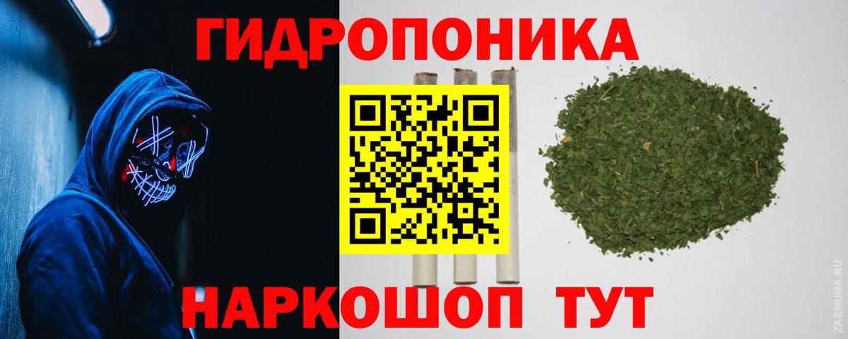 Конопля Amnesia Моршанск